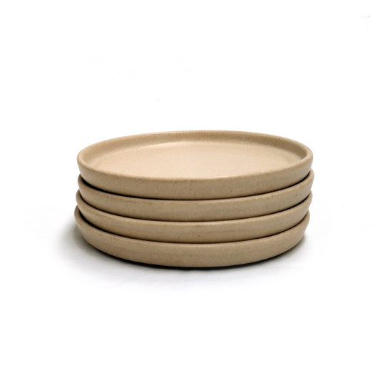 "Flat Plate 20 cm" Package