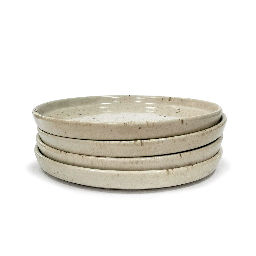 "Flat Plate 25cm" Package