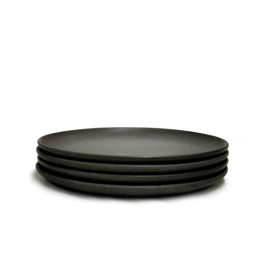 "Flat Plate 25cm" Package